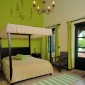 Green_Suite
