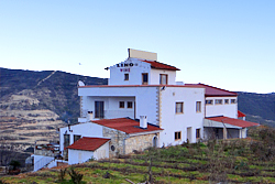 Ktima H. Herodotou Linos Wines