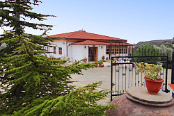 Zenon Winery